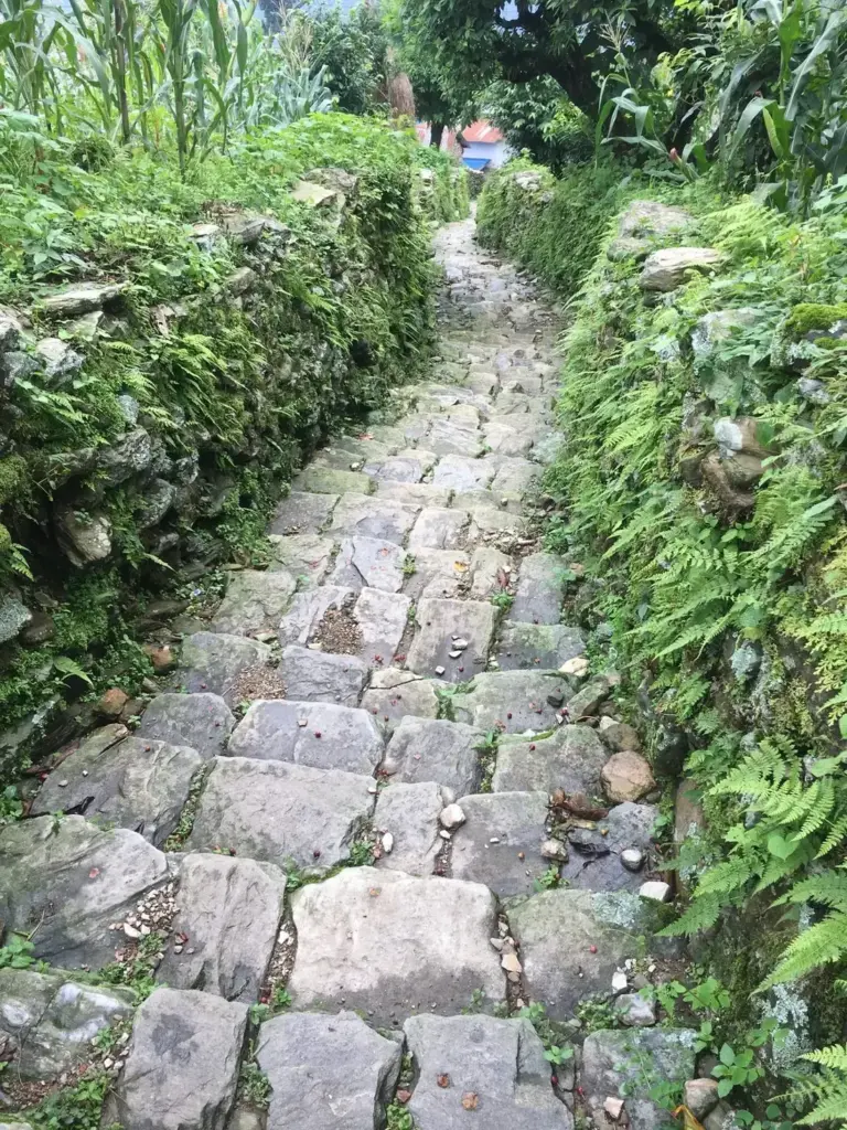Natursteinweg im Garten – Steingarten Zürich